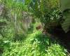 3 Habitaciones Habitaciones, ,2 BathroomsBathrooms,Finca,En Arriendo,1736