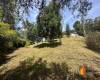 3 Habitaciones Habitaciones, ,3 BathroomsBathrooms,Casa,En Arriendo,1794096-A 3 Habitaciones Habitaciones, ,3 BathroomsBathrooms,Casa,En Arriendo,1794096-A