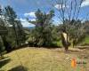3 Habitaciones Habitaciones, ,3 BathroomsBathrooms,Casa,En Arriendo,1794096-A 3 Habitaciones Habitaciones, ,3 BathroomsBathrooms,Casa,En Arriendo,1794096-A